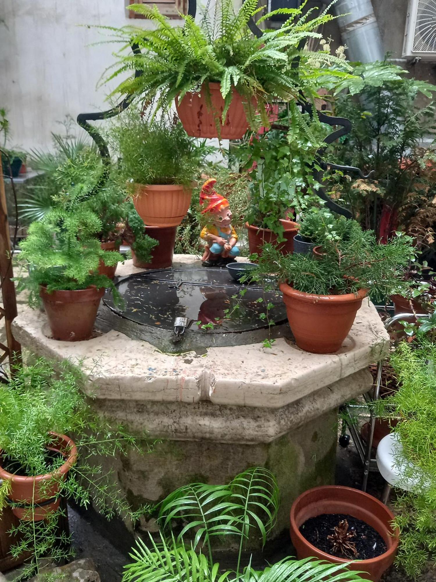 Apartament Bunari Studio Rovinj